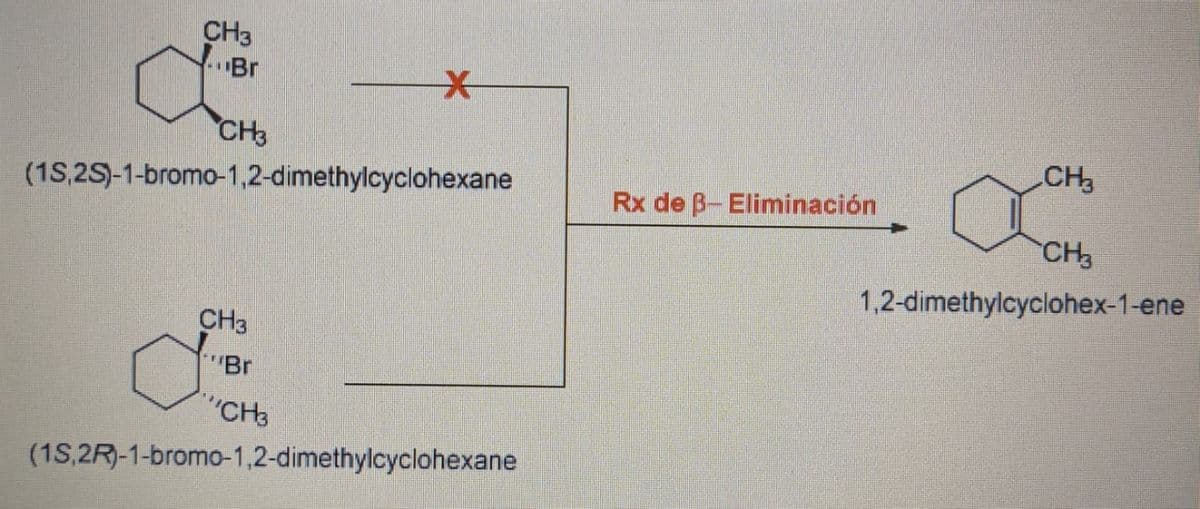 CH3
Br
CH3
CH
(1S,2S)-1-bromo-1,2-dimethylcyclohexane
Rx de B-Eliminación
CH
1,2-dimethylcyclohex-1-ene
CH3
Br
CH3
(1S,2R)-1-bromo-1,2-dimethylcyclohexane

