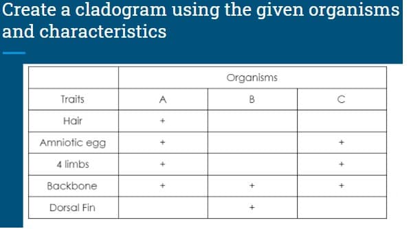 Create a cladogram using the given organisms
and characteristics
Organisms
Traits
A
B
Hair
+
Amniotic egg
+
4 limbs
+
Backbone
Dorsal Fin
