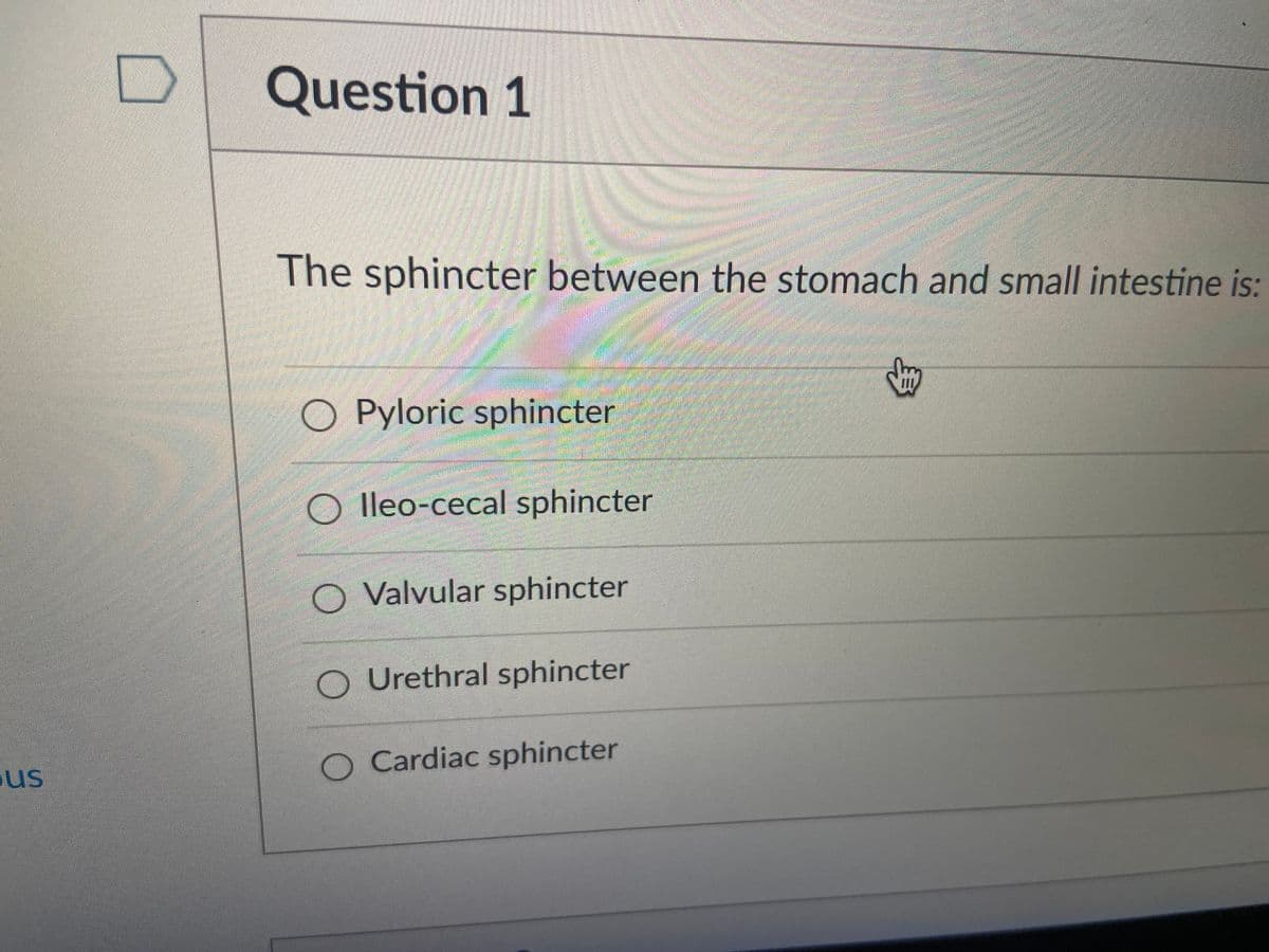 Question 1
The sphincter between the stomach and small intestine is:
O Pyloric sphincter
lleo-cecal sphincter
Valvular sphincter
Urethral sphincter
O Cardiac sphincter
us
身
