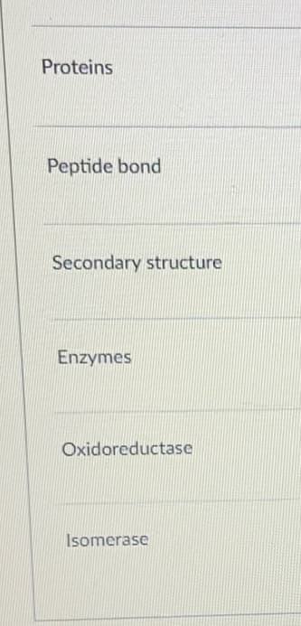 Proteins
Peptide bond
Secondary structure
Enzymes
Oxidoreductase
Isomerase
