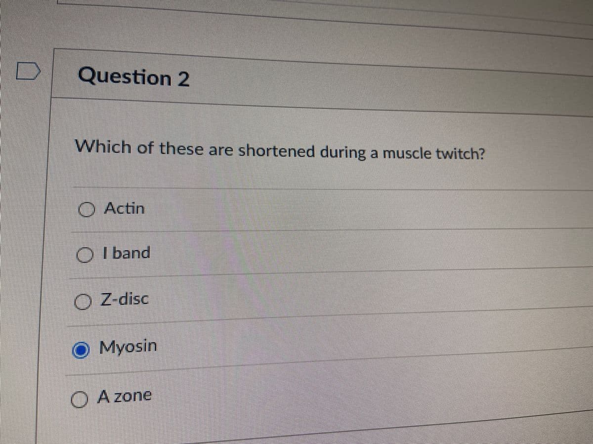 Question 2
Which of these are shortened during a muscle twitch?
O Actin
O I band
மவவு
O Z-disc
Myosin
O Azone
