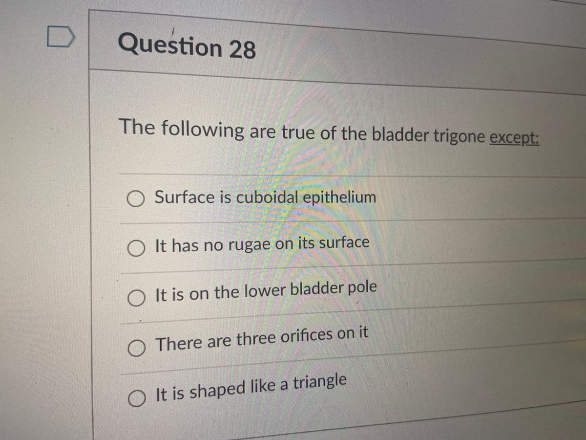 Question 28
The following are true of the bladder trigone except:
O Surface is cuboidal epithelium
O It has no rugae on its surface
O It is on the lower bladder pole
O There are three orifices on it
O It is shaped like a triangle
