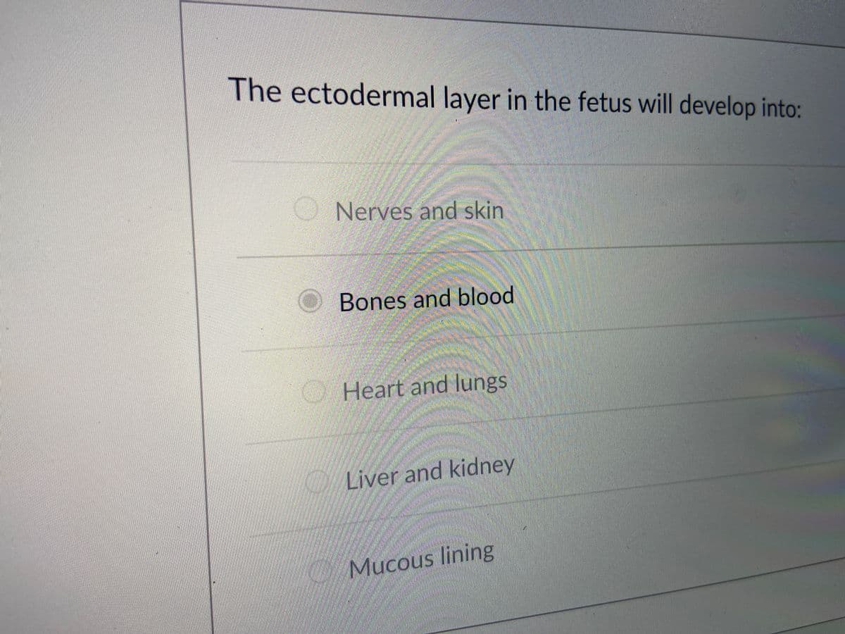 The ectodermal layer in the fetus will develop into:
ONerves and skin
Bones and blood
Heart and lungs
Liver and kidney
Mucous lining
