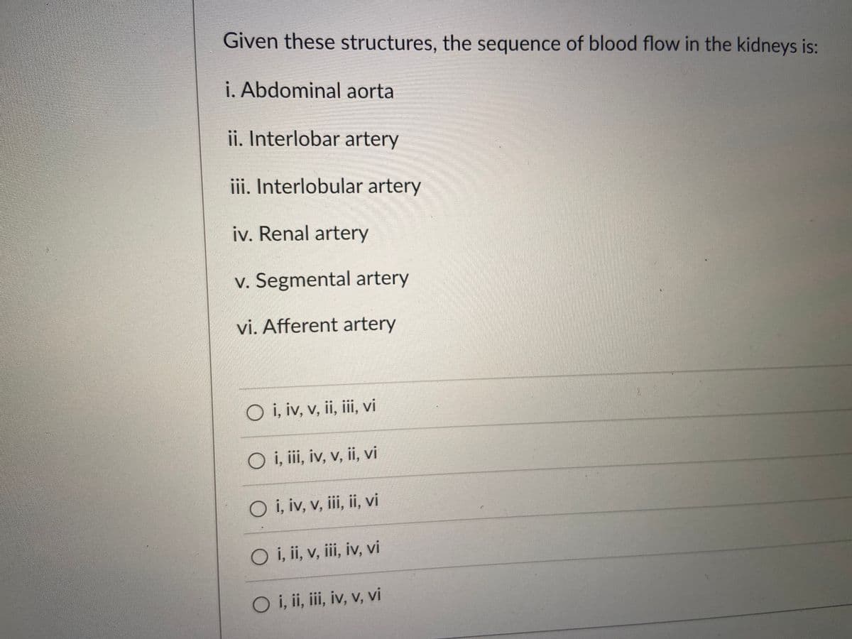 Given these structures, the sequence of blood flow in the kidneys is:
i. Abdominal aorta
ii. Interlobar artery
iii. Interlobular artery
iv. Renal artery
v. Segmental artery
vi. Afferent artery
O i, iv, v, ii, iii, vi
O i, i, iv, v, ii, vi
O i, iv, v, iii, ii, vi
O i, ii, v, ii, iv, vi
Oi, ii, ii, iv, v, vi

