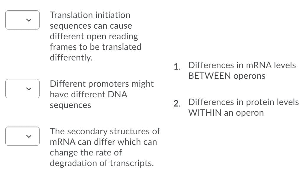 Translation initiation
sequencesS can cause
different open reading
frames to be translated
differently.
1. Differences in mRNA levels
BETWEEN operons
Different promoters might
have different DNA
2. Differences in protein levels
WITHIN an operon
sequences
The secondary structures of
MRNA can differ which can
change the rate of
degradation of transcripts.
