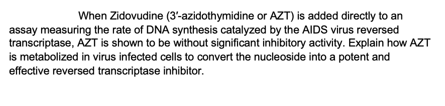 When Zidovudine (3'-azidothymidine or AZT) is added directly to an
assay measuring the rate of DNA synthesis catalyzed by the AIDS virus reversed
transcriptase, AZT is shown to be without significant inhibitory activity. Explain how AZT
is metabolized in virus infected cells to convert the nucleoside into a potent and
effective reversed transcriptase inhibitor.