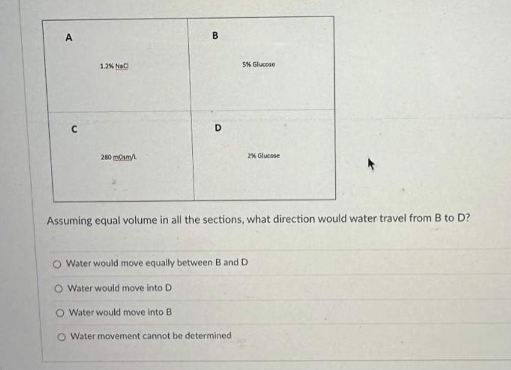 A
1.2 % NaCl
260 mOsm/L
B
D
Water would move into D
5% Glucose
Assuming equal volume in all the sections, what direction would water travel from B to D?
2% Glucose
O Water would move equally between B and D
O Water would move into B
O Water movement cannot be determined