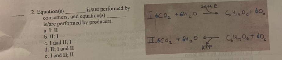 is/are performed by
consumers, and equation(s)
is/are performed by producers.
a. I; II
b. II; I
c. I and II; I
d. II; I and II
e. I and II; II
2. Equation(s).
SOLAR E
1.6CO₂ + 6H₂0 C₂H₁ ₂0₂ + 60₂
T.6CO₂ + 6H₂07 C₂H₁₂O6 + 60₂
ATP