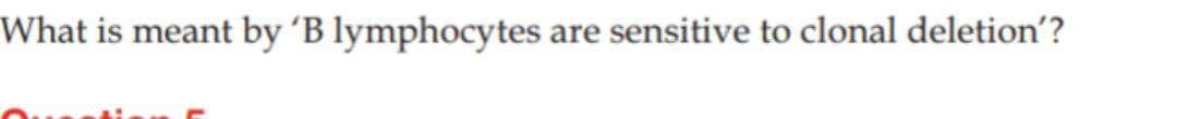 What is meant by 'B lymphocytes are sensitive to clonal deletion'?
