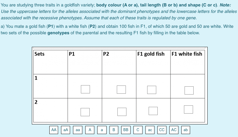 You are studying three traits in a goldfish variety; body colour (A or a), tail length (B or b) and shape (C or c). Note:
Use the uppercase letters for the alleles associated with the dominant phenotypes and the lowercase letters for the alleles
associated with the recessive phenotypes. Assume that each of these traits is regulated by one gene.
a) You mate a gold fish (P1) with a white fish (P2) and obtain 100 fish in F1, of which 50 are gold and 50 are white. Write
two sets of the possible genotypes of the parental and the resulting F1 fish by filling in the table below.
Sets
P1
P2
F1 gold fish F1 white fish
1
2
AA
aA
aa
A
a
B
BB
ac
AC
ab
