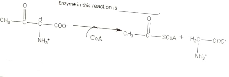 Enzyme in this reaction is
CH3
-CO-
CH3
-ċ-SCOA + H2 -
CoA
NH,
NH3*
