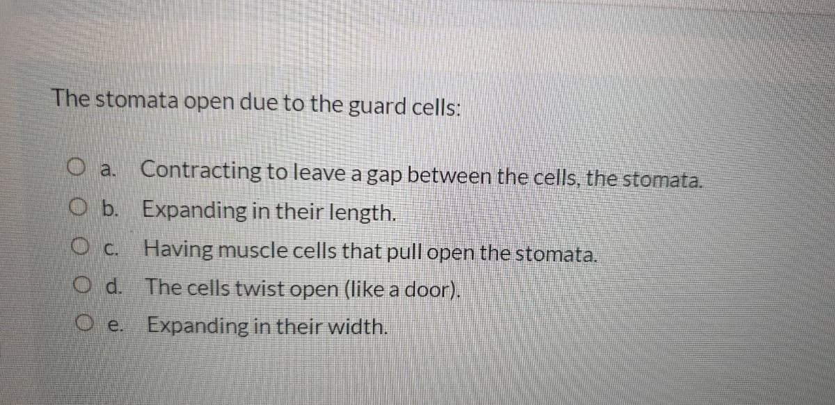 The stomata open due to the guard cells:
O a. Contracting to leave a gap between the cells, the stomata.
O b. Expanding in their length.
O c. Having muscle cells that pull openthe stomata.
O d. The cells twist open (like a door).
O e. Expanding in their width.
