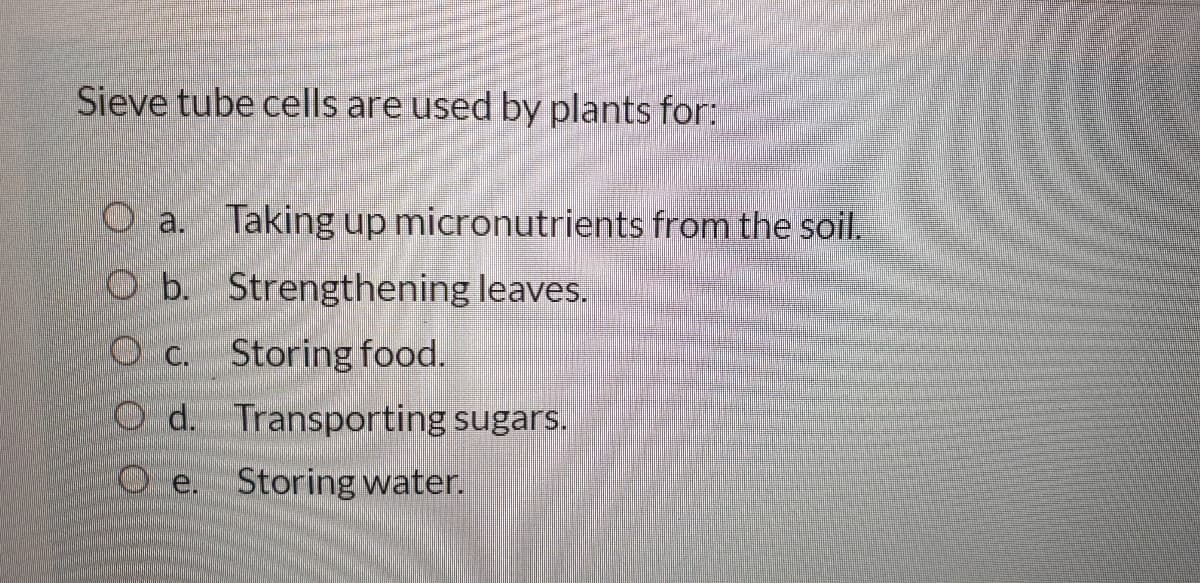 Sieve tube cells are used by plants for:
O a. Taking up micronutrients from the soil.
O b. Strengthening leaves.
O c. Storing food.
O d. Transporting sugars.
O e.
Storing water.
