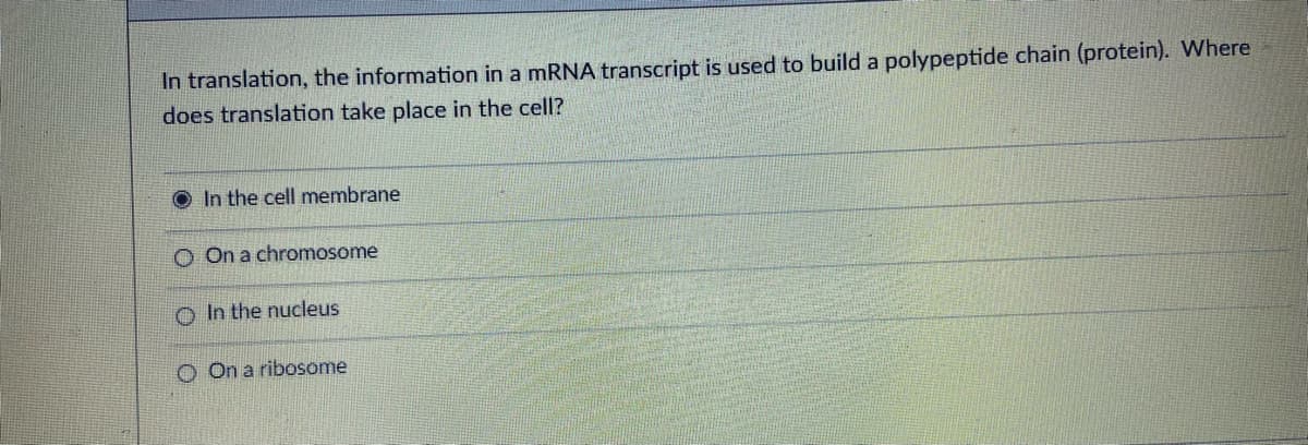 In translation, the information in a mRNA transcript is used to build a polypeptide chain (protein). Where
does translation take place in the cell?
O In the cell membrane
O On a chromosome
O In the nucleus
O On a ribosome
