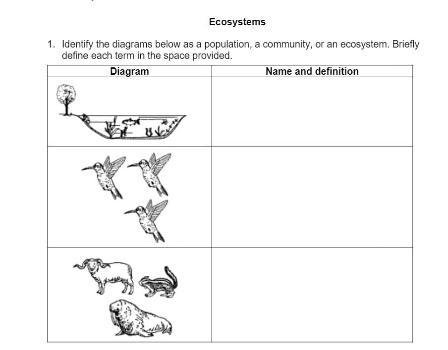Ecosystems
1. Identify the diagrams below as a population, a community, or an ecosystem. Briefly
define each term in the space provided.
Diagram
Name and definition
