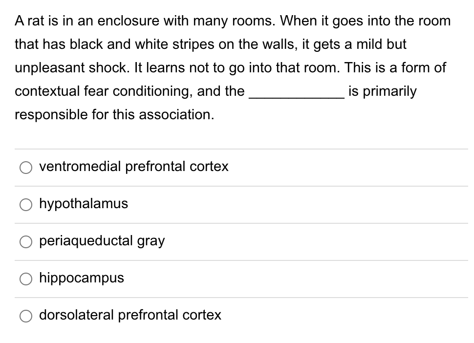 A rat is in an enclosure with many rooms. When it goes into the room
that has black and white stripes on the walls, it gets a mild but
unpleasant shock. It learns not to go into that room. This is a form of
contextual fear conditioning, and the
is primarily
responsible for this association.
ventromedial prefrontal cortex
hypothalamus
periaqueductal gray
hippocampus
dorsolateral prefrontal cortex
