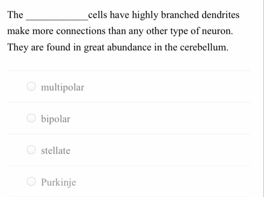 The
cells have highly branched dendrites
make more connections than any other type of neuron.
They are found in great abundance in the cerebellum.
O multipolar
bipolar
O stellate
O Purkinje
