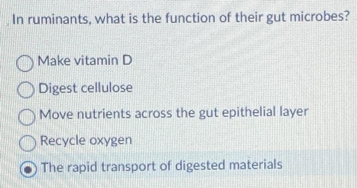 In ruminants, what is the function of their gut microbes?
O Make vitamin D
Digest cellulose
O Move nutrients across the gut epithelial layer
O Recycle oxygen
The rapid transport of digested materials
