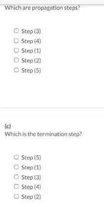 Which are propagation steps?
O Step (3)
O Step (4)
O Step (1)
O Step (2)
O Step (5)
(c)
Which is the termination step?
O Step (5)
O tep (1)
O Step (3)
O Step (4)
O Step (2)
