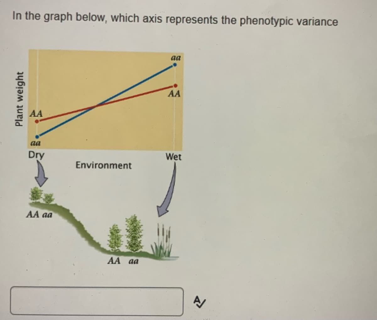 In the graph below, which axis represents the phenotypic variance
aa
AA
AA
aa
Dry
Wet
Environment
AA aa
AA aa
Plant weight

