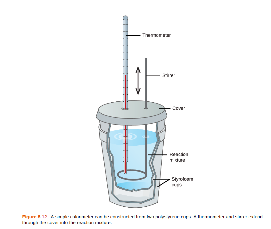 Thermometer
Stirrer
Cover
Reaction
mixture
Styrofoam
cups
Figure 5.12 A simple calorimeter can be constructed from two polystyrene cups. A thermometer and stirrer extend
through the cover into the reaction mixture.
