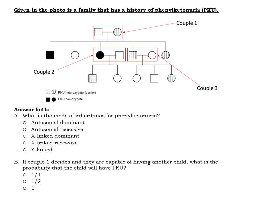 Given in the photo is a family that has a history of phenylketonuria (PKU).
Couple 1
Couple 2
PKU heterozygote (carrier)
PKU homozygote
Answer both:
A. What is the mode of inheritance for phenylketonuria?
O Autosomal dominant
O Autosomal recessive
o X-linked dominant
O X-linked recessive
o Y-linked
o 1/4
o 1/2
O 1
Couple 3
B. If couple 1 decides and they are capable of having another child, what is the
probability that the child will have PKU?