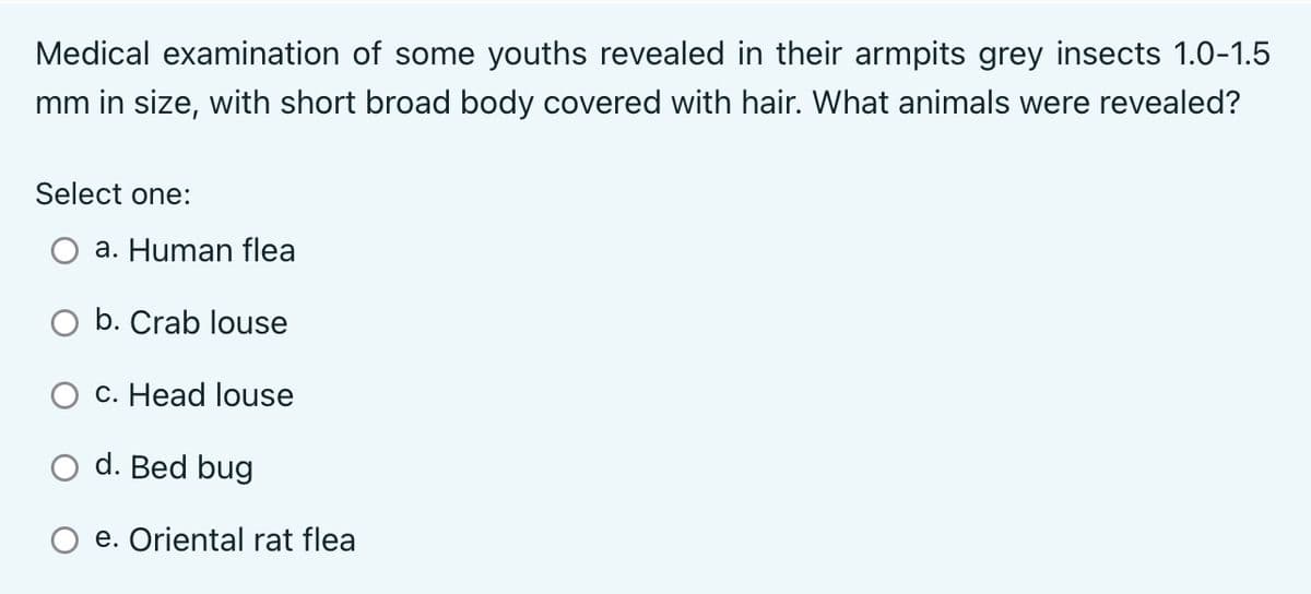 Medical examination of some youths revealed in their armpits grey insects 1.0-1.5
mm in size, with short broad body covered with hair. What animals were revealed?
Select one:
a. Human flea
b. Crab louse
c. Head louse
d. Bed bug
e. Oriental rat flea