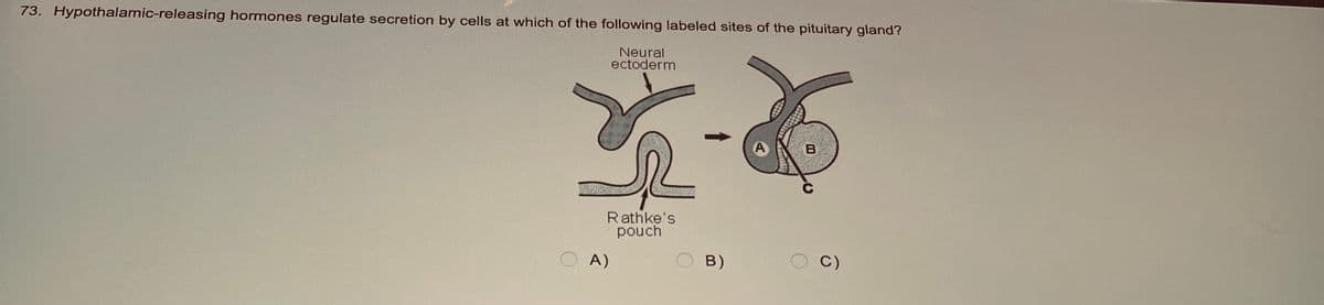 73. Hypothalamic-releasing hormones regulate secretion by cells at which of the following labeled sites of the pituitary gland?
Neural
ectoderm
Aq
Rathke's
pouch
A)
B)
A
B
C)
