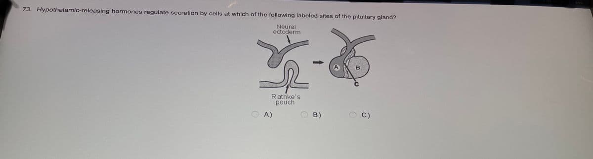 73. Hypothalamic-releasing hormones regulate secretion by cells at which of the following labeled sites of the pituitary gland?
Neural
ectoderm
Rathke's
pouch
A)
B)
A
B
C)