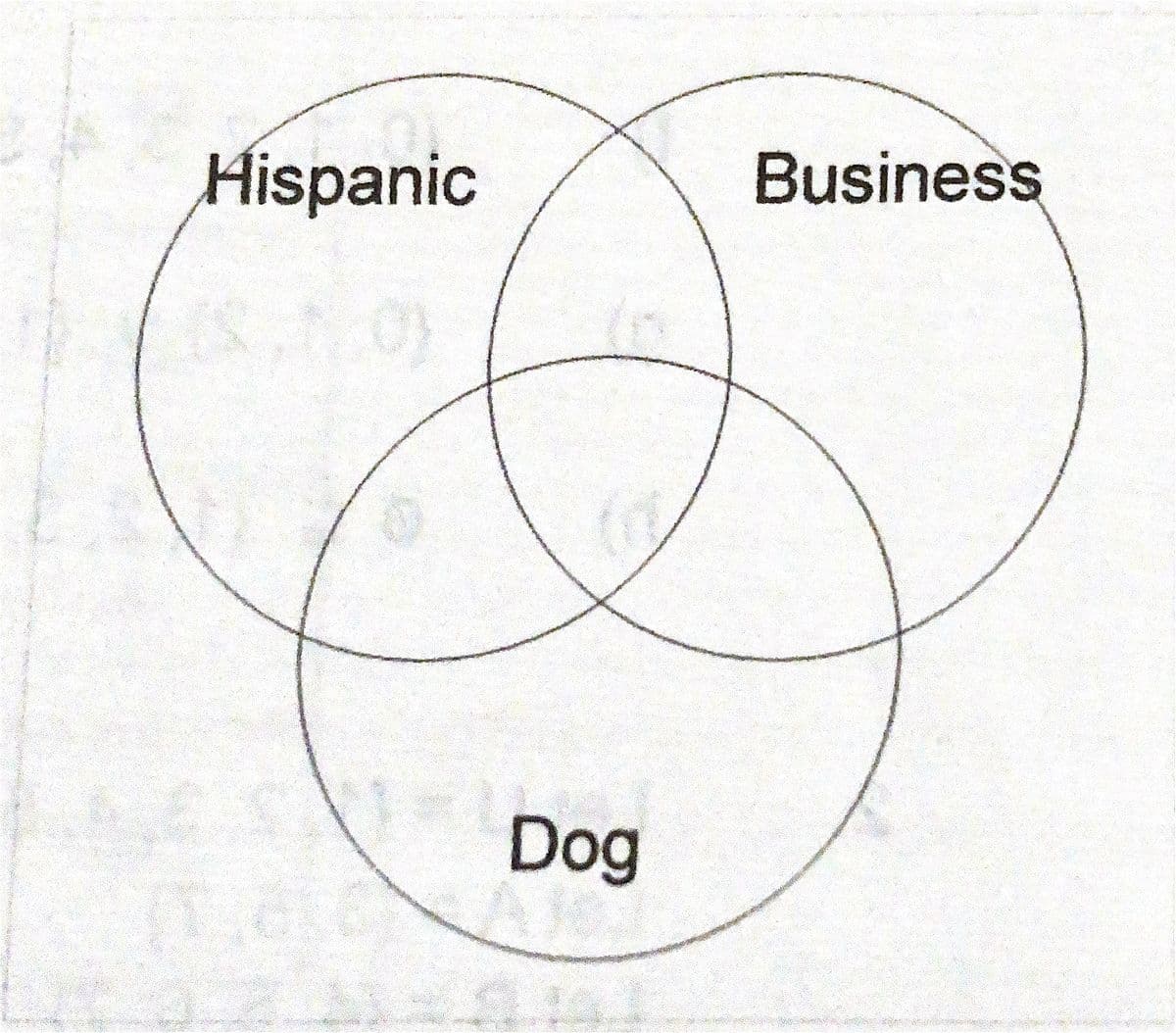 Hispanic
Business
Dog
