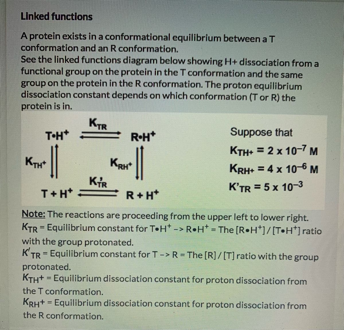 Linked functions
A protein exists in a conformational equilibrium between a T
conformation and an R conformation.
See the linked functions diagram below showing H+ dissociation from a
functional group on the protein in the T conformation and the same
group on the protein in the R conformation. The proton equilibrium
dissociation constant depends on which conformation (T or R) the
protein is in.
KTR
T•H*
R•H*
Suppose that
KTH+ = 2 x 10-7 M
KTH
KRH*
KRH+ = 4 x 10-6 M
%3D
KIR
K'TR = 5 x 10-3
%3D
T+H*
R+ H*
Note: The reactions are proceeding from the upper left to lower right.
KTR = Equilibrium constant for T•H* -> R•H* = The [R•H*]/ [T•H*] ratio
with the group protonated.
K'TR = Equilibrium constant for T-> R = The [R]/[T]ratio with the group
protonated.
KTH+ = Equilibrium dissociation constant for proton dissociation from
the T conformation.
KRH+ = Equilibrium dissociation constant for proton dissociation from
the R conformation.
