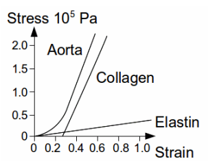 Stress 105 Pa
2.0- Aorta
1.5-
Collagen
1.0-
0.5-
Elastin
0+
O 0.2 0.4 0.6 0.8 1.0 Strain
