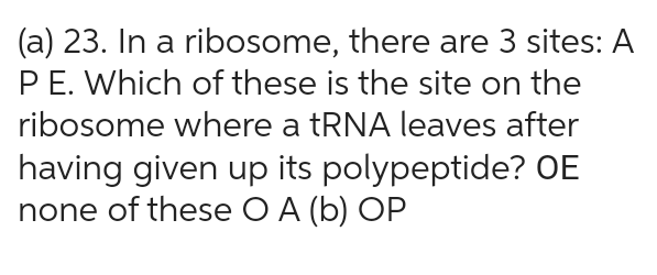 (a) 23. In a ribosome, there are 3 sites: A
PE. Which of these is the site on the
ribosome where a tRNA leaves after
having given up its polypeptide? OE
none of these O A (b) OP