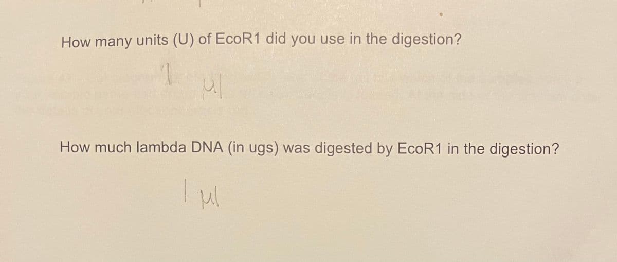How many units (U) of EcoR1 did you use in the digestion?
How much lambda DNA (in ugs) was digested by EcoR1 in the digestion?
