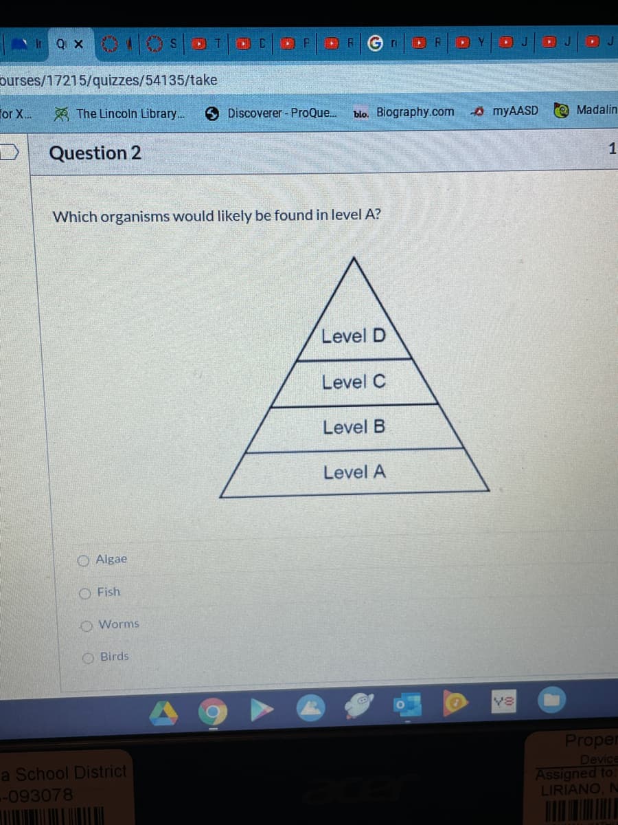 Ir Q X
S.
ourses/17215/quizzes/54135/take
for X.
3 The Lincoln Library.
O Discoverer - ProQue..
blo. Biography.com
A myAASD
O Madalin
Question 2
1
Which organisms would likely be found in level A?
Level D
Level C
Level B
Level A
O Algae
O Fish
O Worms
O Birds
Proper
Device
Assigned to:
LIRIANO,
a School District
-093078
