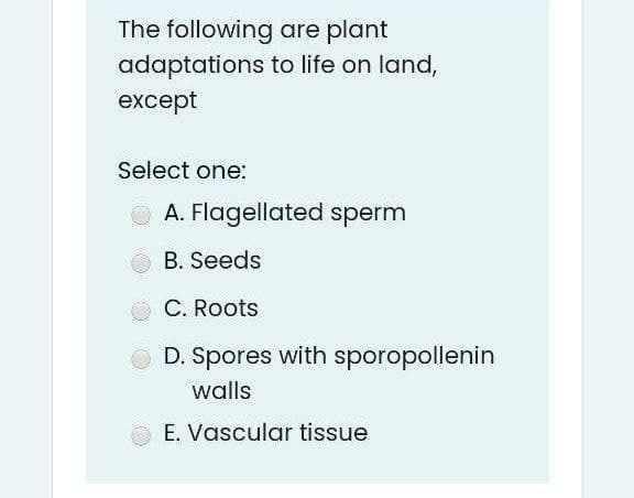 The following are plant
adaptations to life on land,
except
Select one:
O A. Flagellated sperm
B. Seeds
C. Roots
D. Spores with sporopollenin
walls
E. Vascular tissue
