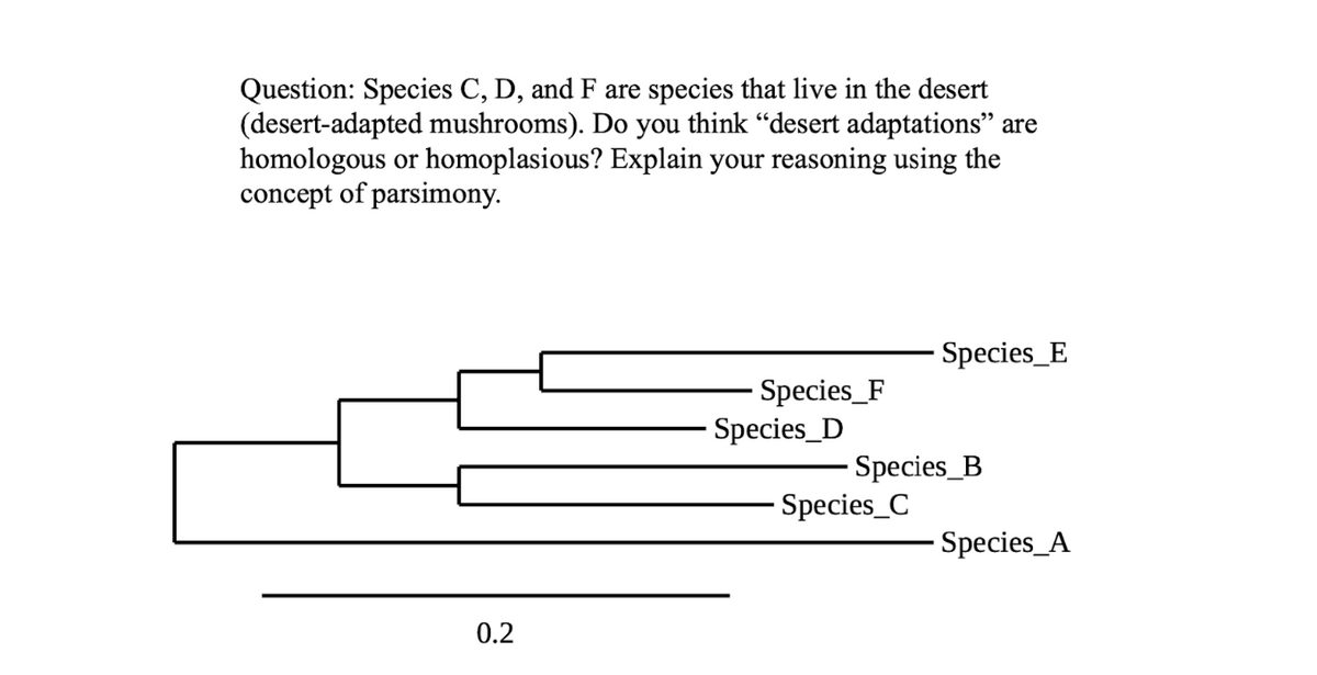 Question: Species C, D, and F are species that live in the desert
(desert-adapted mushrooms). Do you think "desert adaptations" are
homologous or homoplasious? Explain your reasoning using the
concept of parsimony.
0.2
Species_F
Species_D
Species_E
Species_B
Species_C
Species_A