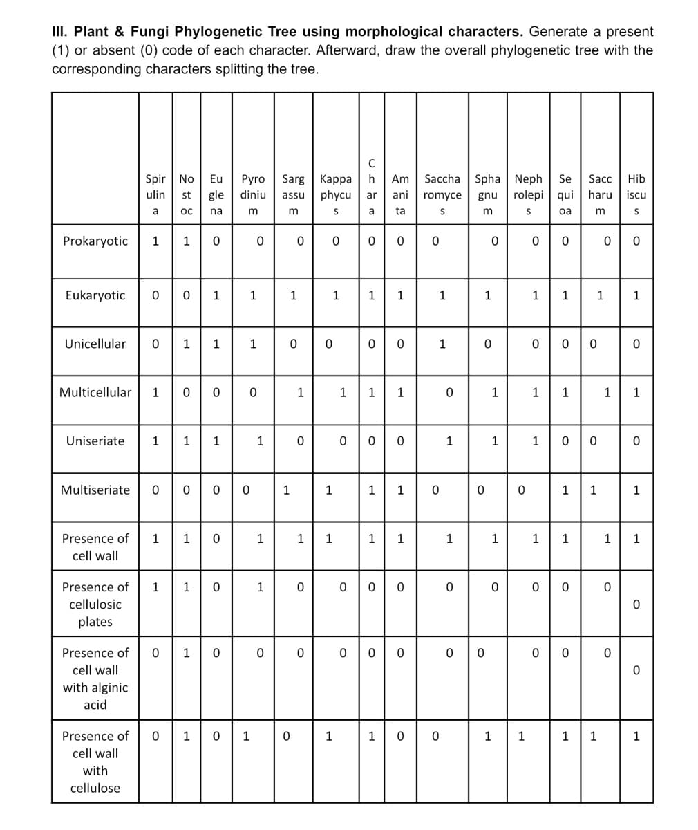 III. Plant & Fungi Phylogenetic Tree using morphological characters. Generate a present
(1) or absent (0) code of each character. Afterward, draw the overall phylogenetic tree with the
corresponding characters splitting the tree.
Prokaryotic 1
Eukaryotic
Multicellular 1
Multiseriate
Unicellular 0 1 1
Uniseriate 1
Presence of
cell wall
Presence of
cellulosic
plates
Spir No
ulin
a
Presence of
cell wall
with alginic
acid
Presence of
cell wall
with
cellulose
0 0 1
C
Eu Pyro Sarg Kappa h Am Saccha Spha Neph Se Sacc Hib
gle diniu assu phycu ar ani romyce gnu rolepi qui haru
iscu
ос na
m
m
S
a ta
S
m
S
oa
m
S
1 0
1
1
0
1
1
0
1
1
••••
0
010
0
1
1
0
0101
1
1
1
1
0
0
1
0
1
0
0
•••
0
0
1
0
1 1
1
1
0 0 0
1
0
1 1
0 0
0 0
1
1
0
1
1
1
0
H
1
1
1
0
00
1
1
0
0
1
0
。。。
1
1
1
0
1 1
0
1
1
°°
0 0
0
1
1
1 0
O
1
1
1
0 0
1
0
0
1
0
1 1
1
0
0
1
P
1 1
0
0
1
1
0
O
1