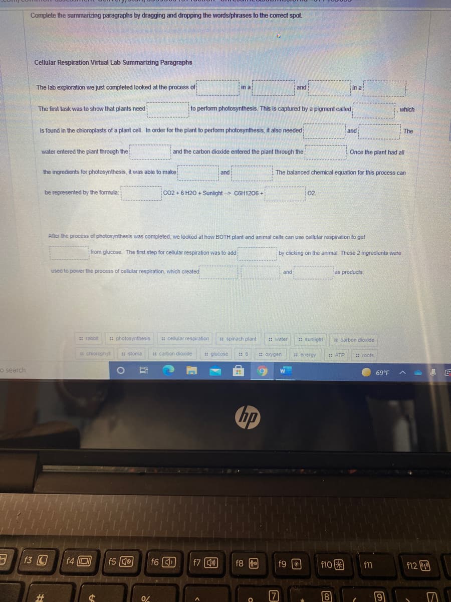 Complete the summarizing paragraphs by dragging and dropping the words/phrases to the correct spot.
Cellular Respiration Virtual Lab Summarizing Paragraphs
The lab exploration we just completed looked at the process of
in a
and
in a
The first task was to show that plants need
to perform photosynthesis. This is captured by a pigment called
,which
is found in the chloroplasts of a plant cell. In order for the plant to perform photosynthesis, it also needed
and
The
water entered the plant through the
and the carbon dioxide entered the plant through the
Once the plant had all
the ingredients for photosynthesis, it was able to make
and
The balanced chemical equation for this process can
be represented by the formula:
Co2 + 6 H20 + Sunlight -> C6H1206 +
02.
After the process of photosynthesis was completed, we looked at how BOTH plant and animal cells can use cellular respiration to get
from glucose. The first step for cellular respiration was to add
by clicking on the animal. These 2 ingredients were
used to power the process of cellular respiration, which created
and
as products.
* rabbit
: photosynthesis
: cellular respiration
: spinach plant
* water
: sunlight
: carbon dioxide
: chiorophyl
: stoma
: carbon dixide
: glucose
: 6
: oxygen
: energy
: ATP
: roots
o search
69°F
hp
f3 C
f4 回
f5 0
f6
f7 )
f8 2
f9 *
f10困
f12 回
f11
%23
0%
7
