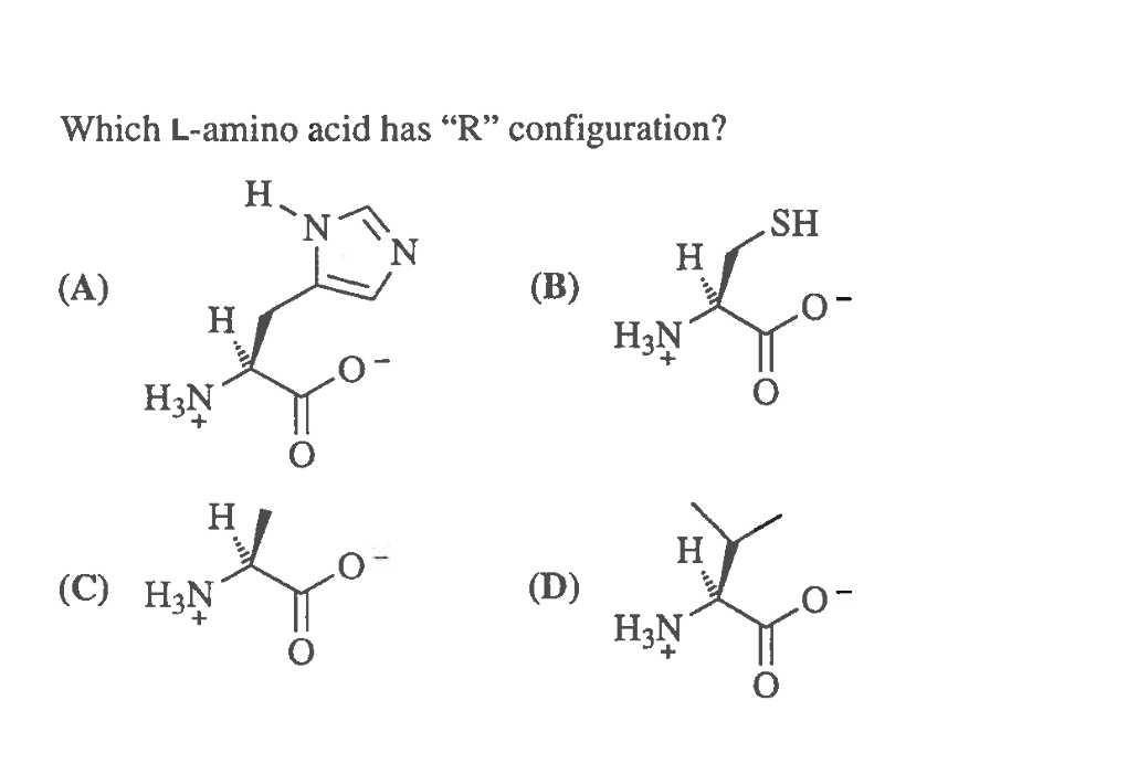 Which L-amino acid has "R" configuration?
'N
N
HS
H
(A)
(В)
H
H3N
H3N
H
H
(С) HN
(D)
H3N
