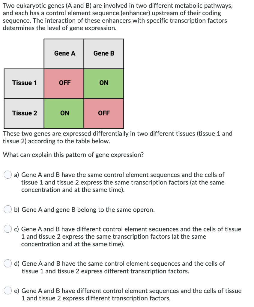 Two eukaryotic genes (A and B) are involved in two different metabolic pathways,
and each has a control element sequence (enhancer) upstream of their coding
sequence. The interaction of these enhancers with specific transcription factors
determines the level of gene expression.
Gene A
Gene B
Tissue 1
OFF
ON
Tissue 2
ON
OFF
These two genes are expressed differentially in two different tissues (tissue 1 and
tissue 2) according to the table below.
What can explain this pattern of gene expression?
a) Gene A and B have the same control element sequences and the cells of
tissue 1 and tissue 2 express the same transcription factors (at the same
concentration and at the same time).
b) Gene A and gene B belong to the same operon.
c) Gene A and B have different control element sequences and the cells of tissue
1 and tissue 2 express the same transcription factors (at the same
concentration and at the same time).
d) Gene A and B have the same control element sequences and the cells of
tissue 1 and tissue 2 express different transcription factors.
e) Gene A and B have different control element sequences and the cells of tissue
1 and tissue 2 express different transcription factors.
