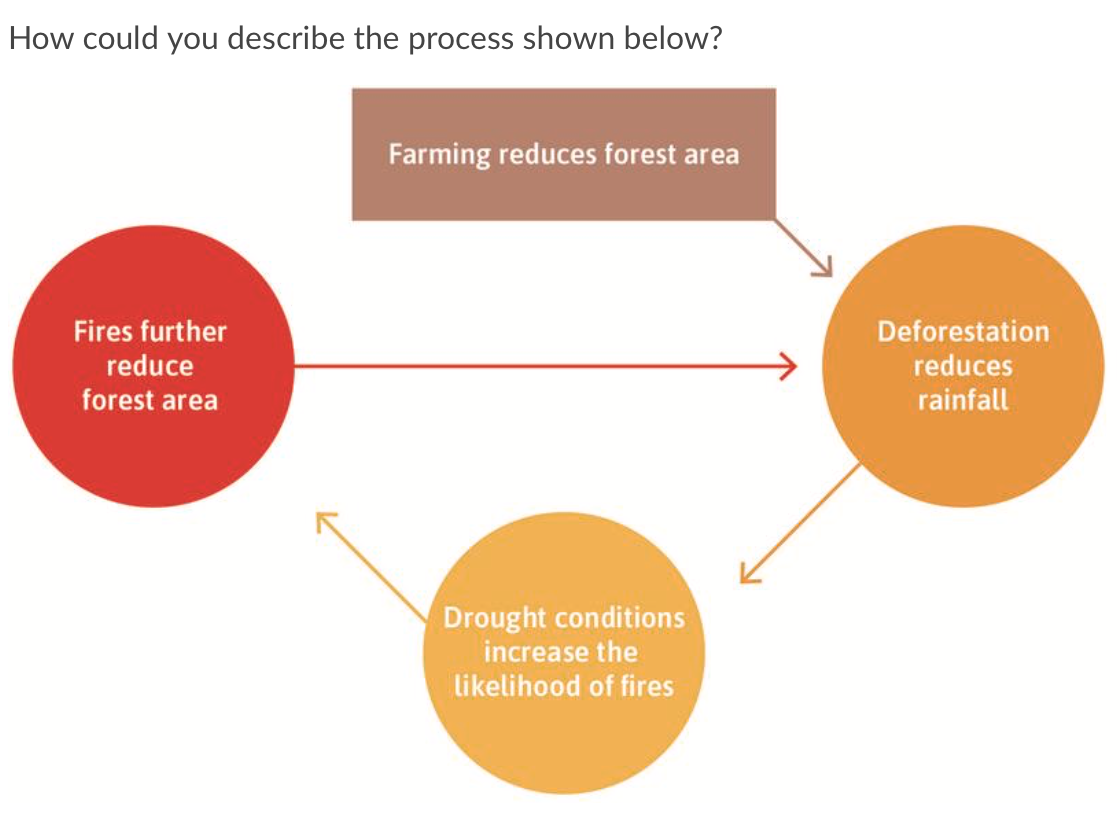 How could you describe the process shown below?
Farming reduces forest area
Fires further
Deforestation
reduce
reduces
forest area
rainfall
Drought conditions
increase the
likelihood of fires
