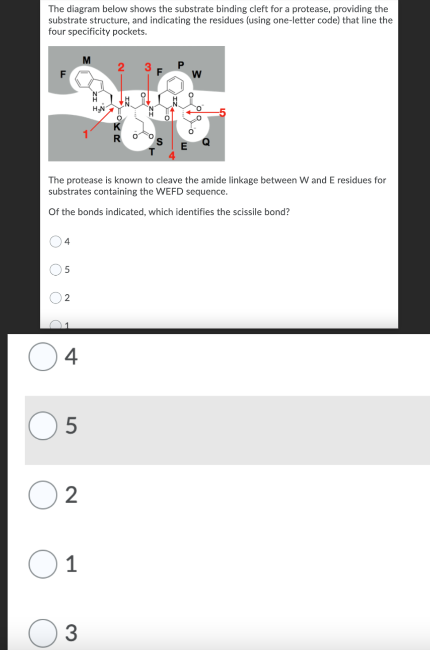 The diagram below shows the substrate binding cleft for a protease, providing the
substrate structure, and indicating the residues (using one-letter code) that line the
four specificity pockets.
F
4
5
2
4
5
2
The protease is known to cleave the amide linkage between W and E residues for
substrates containing the WEFD sequence.
Of the bonds indicated, which identifies the scissile bond?
1
M
3
N
H₂N
2
O
3
F
W