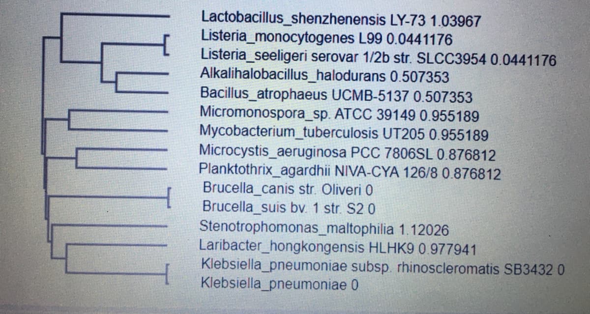Lactobacillus_shenzhenensis LY-73 1.03967
Listeria monocytogenes L99 0.0441176
Listeria_seeligeri serovar 1/2b str. SLCC3954 0.0441176
Alkalihalobacillus_halodurans 0.507353
Bacillus_atrophaeus UCMB-5137 0.507353
Micromonospora_sp. ATCC 39149 0.955189
Mycobacterium_tuberculosis UT205 0.955189
Microcystis_aeruginosa PCC 7806SL 0.876812
Planktothrix_agardhii NIVA-CYA 126/8 0.876812
Brucella_canis str. Oliveri 0
Brucella_suis bv. 1 str. S20
Stenotrophomonas_maltophilia 1.12026
Laribacter_hongkongensis HLHK9 0.977941
Klebsiella pneumoniae subsp. rhinoscleromatis SB3432 0
Klebsiella pneumoniae 0