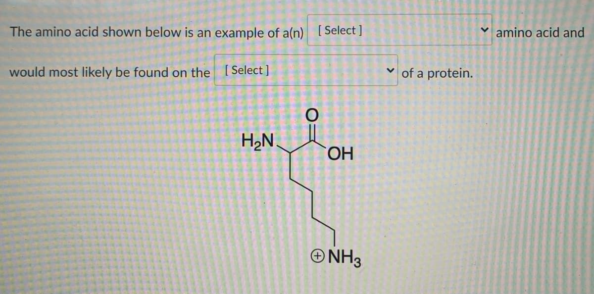 The amino acid shown below is an example of a(n) [Select ]
v amino acid and
would most likely be found on the [Select]
v of a protein.
H,N.
HO.
ONH3
