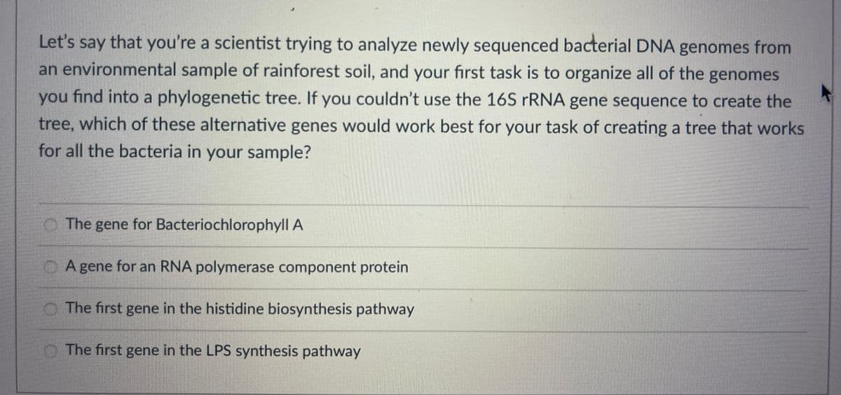 Let's say that you're a scientist trying to analyze newly sequenced bacterial DNA genomes from
an environmental sample of rainforest soil, and your first task is to organize all of the genomes
you find into a phylogenetic tree. If you couldn't use the 16S rRNA gene sequence to create the
tree, which of these alternative genes would work best for your task of creating a tree that works
for all the bacteria in your sample?
The gene for Bacteriochlorophyll A
A gene for an RNA polymerase component protein
The first gene in the histidine biosynthesis pathway
The first gene in the LPS synthesis pathway