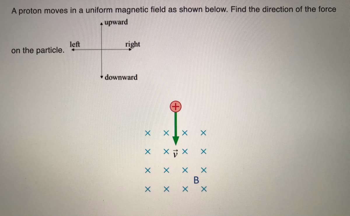 A proton moves in a uniform magnetic field as shown below. Find the direction of the force
upward
left
on the particle.
right
• downward
×す×
В
X X X
