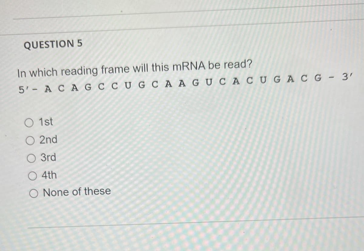 QUESTION 5
In which reading frame will this mRNA be read?
5' ACA G C CUGCA AGUCACUGACG 3'
O 1st
O 2nd
O 3rd
4th
O None of these
