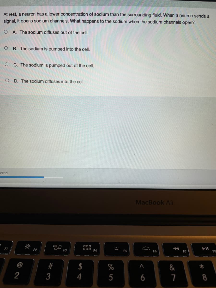 At rest, a neuron has a lower concentration of sodium than the surrounding fluid. When a neuron sends a
signal, it opens sodium channels. What happens to the sodium when the sodium channels open?
O A. The sodium diffuses out of the cellI.
B. The sodium is pumped into the cell.
O C. The sodium is pumped out of the cell.
D. The sodium diffuses into the cell.
rered
MacBook Air
吕口
F3
F1
F2
O00
F4
F5
F6
F7
F8
%
&
*
2
5
6
8
%244
2# 3
