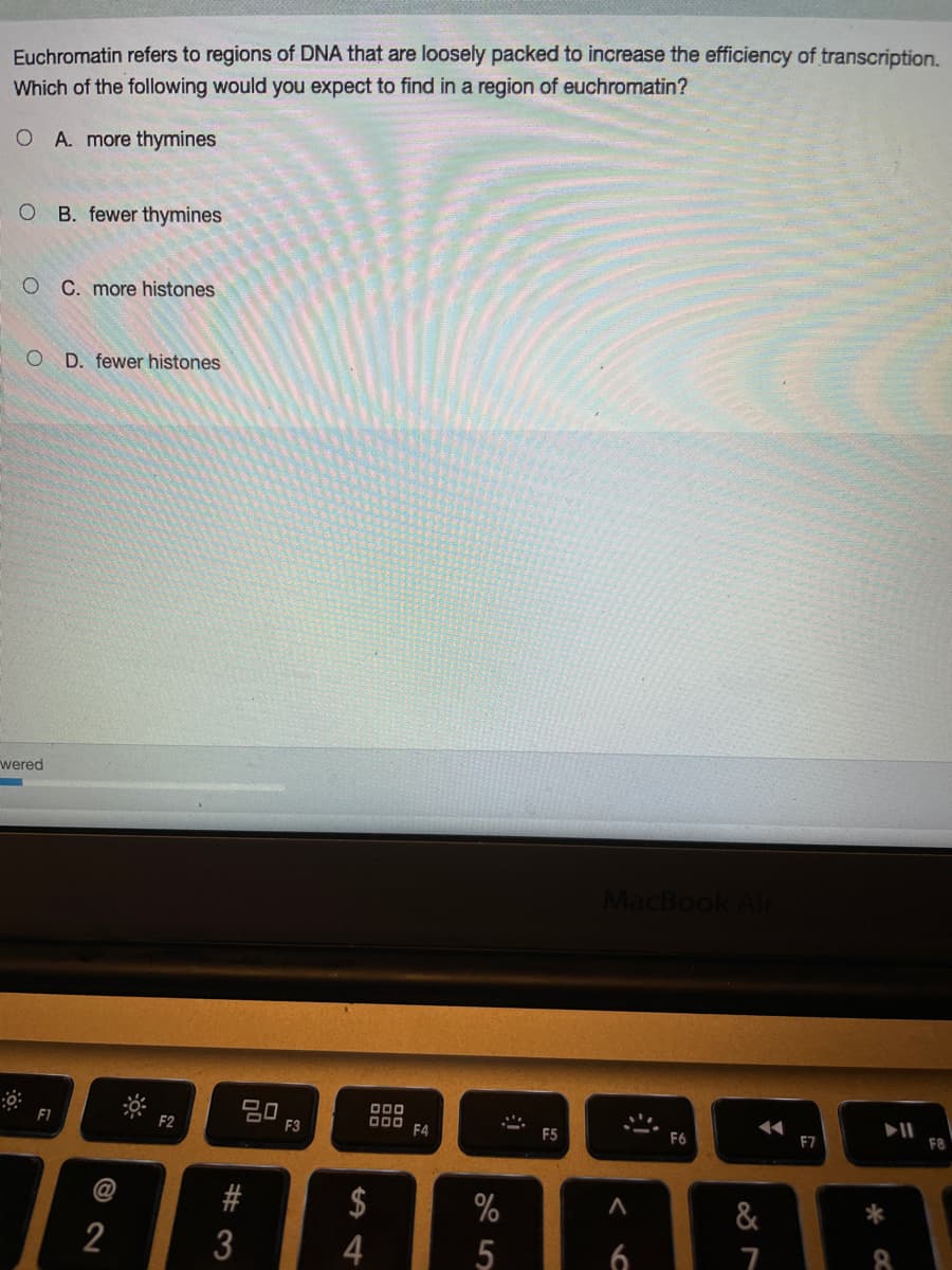 Euchromatin refers to regions of DNA that are loosely packed to increase the efficiency of transcription.
Which of the following would you expect to find in a region of euchromatin?
O A. more thymines
O B. fewer thymines
C. more histones
O D. fewer histones
wered
MacBook
20
F3
000
000
F4
II
F8
F2
F5
F6
F7
@
$
%
&
2
4
5
6
8.
%# 3
